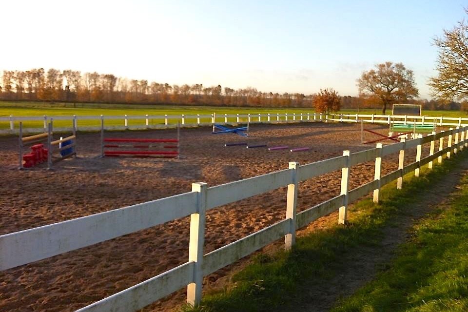 5 day intensive sport horsemanship united