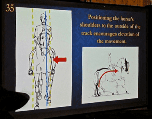 Nieuwe kennis en interessante links - anatomie, biomechanica en meer - 1 - Sport & Horsemanship United