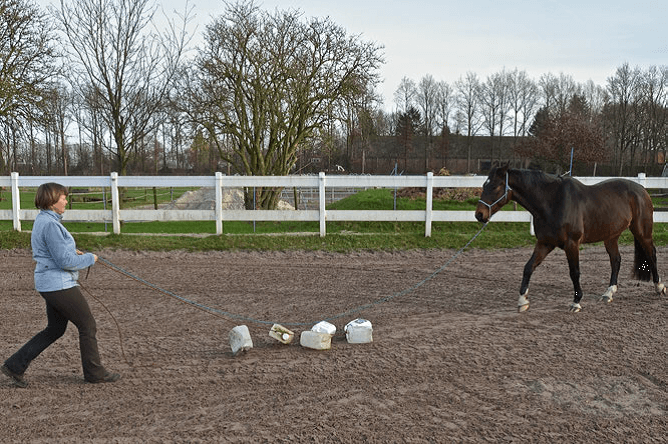 Voorbereiding op het Onverwachte 2 - Sport & Horsemanship United