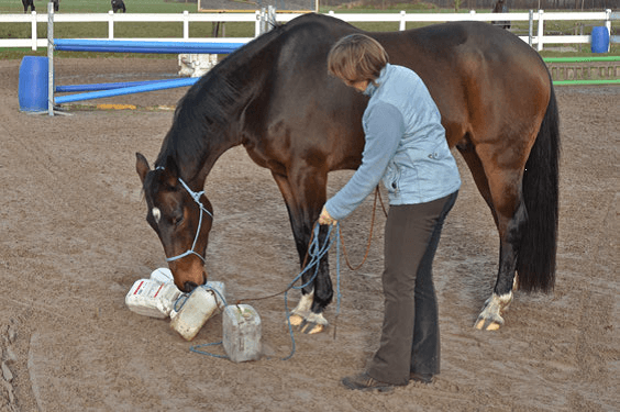 Voorbereiding op het Onverwachte 5 - Sport & Horsemanship United