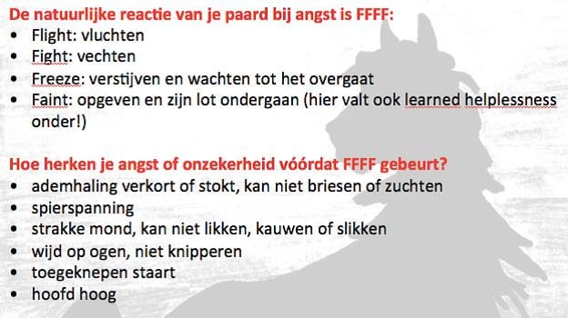 Waarom doet ie dat of waarom niet - rijtje van vijf