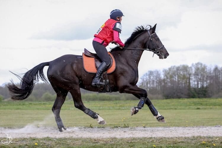 Balans in het zadel trainingstips