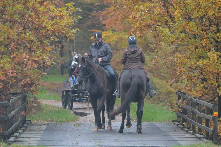 Omdenken - Sport Horsemanship United